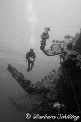 Diver along the Salem Express by Barbara Schilling 